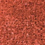 465 Coral
